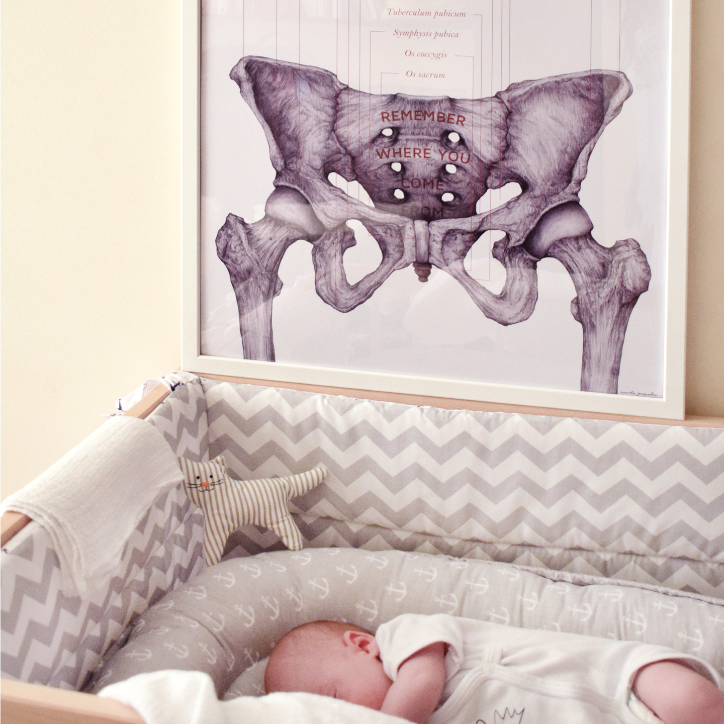 plakat anatomiczny na którym widnieje żeńska miednica dobrze ilustruje dylemat położniczy