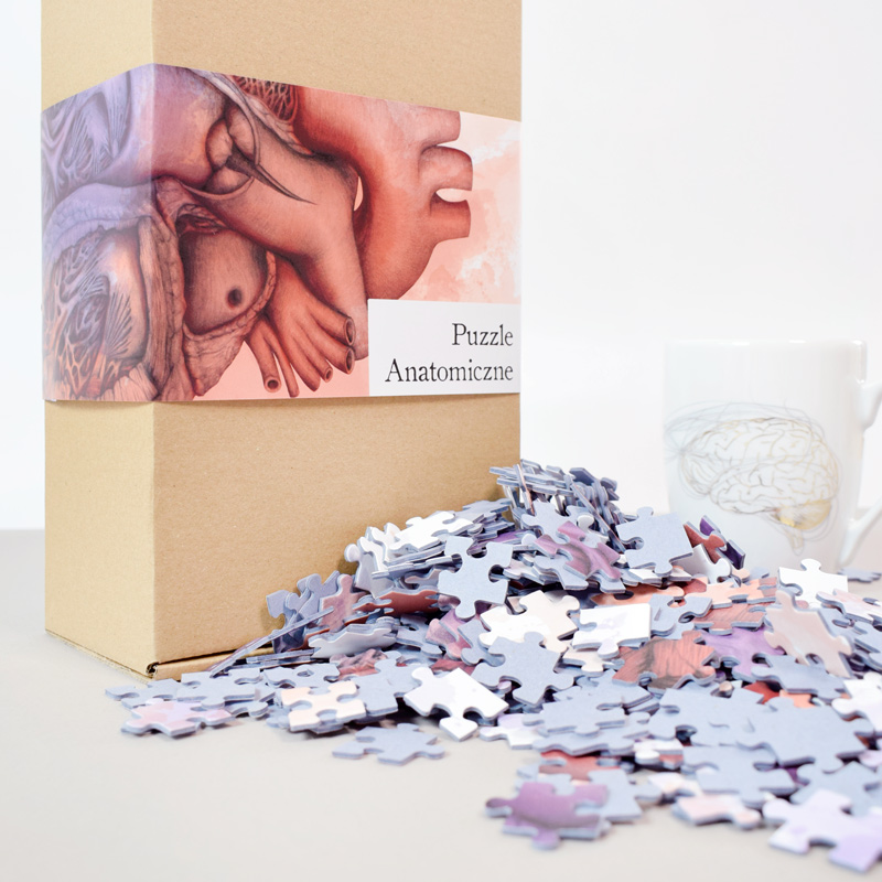 Puzzle Anatomiczne Serce