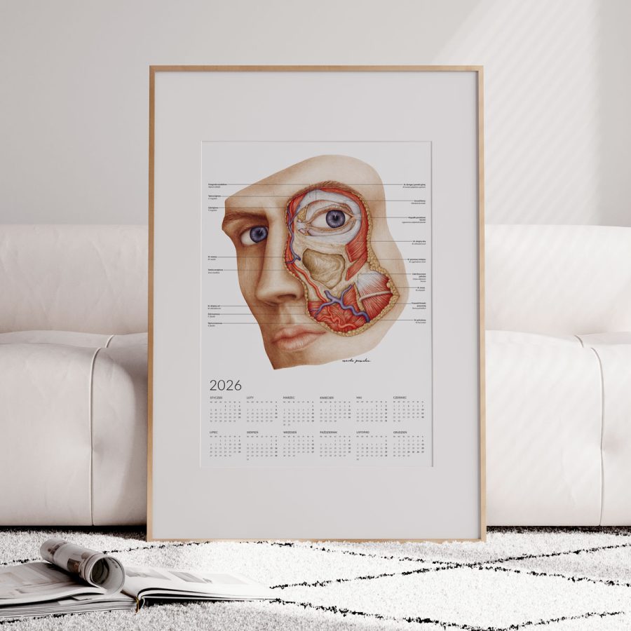 Kalendarz Anatomiczny 2026 - Jednostronny — zdjęcie 2