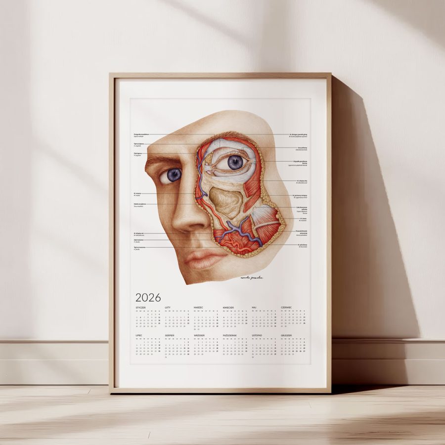 Kalendarz Anatomiczny 2026 - Jednostronny — zdjęcie 3