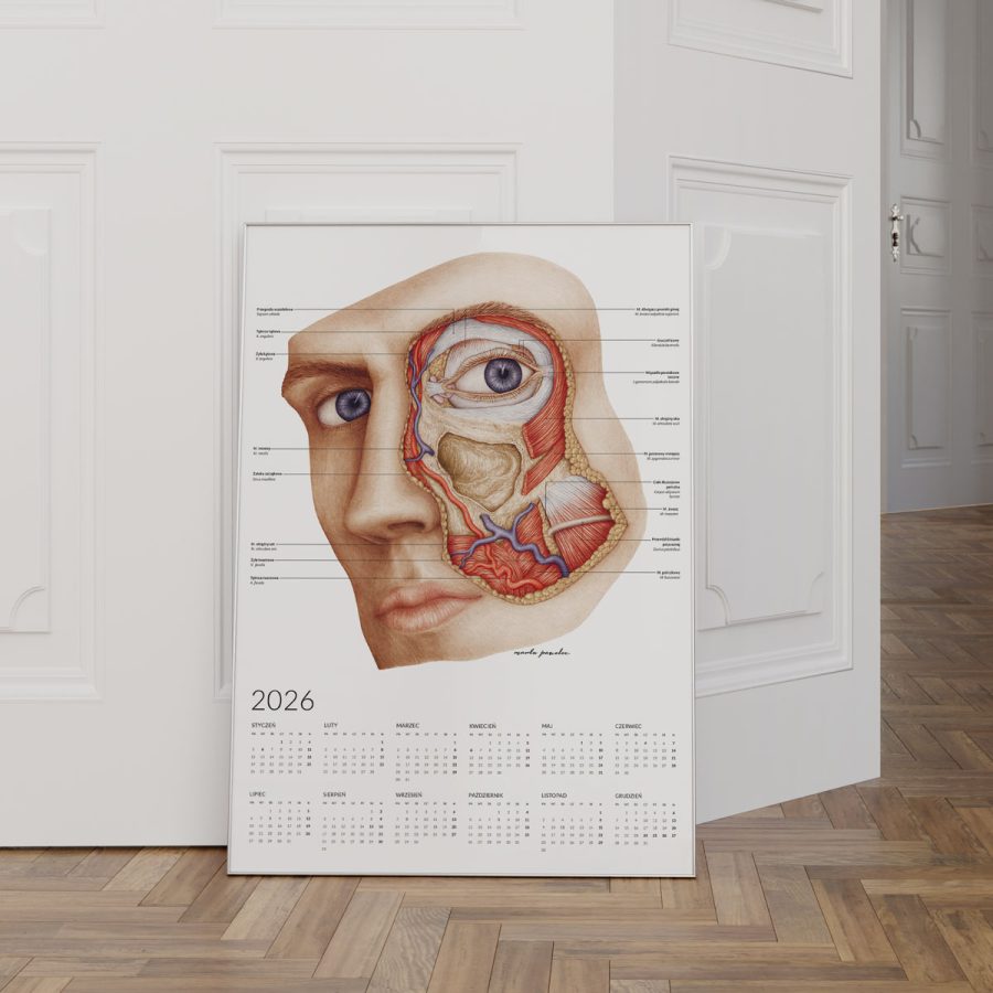 Kalendarz Anatomiczny 2026 - Jednostronny — zdjęcie 6