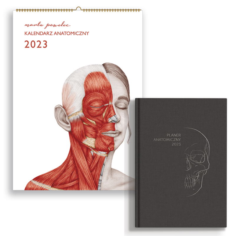 Komplet Kalendarz&Planer 2023