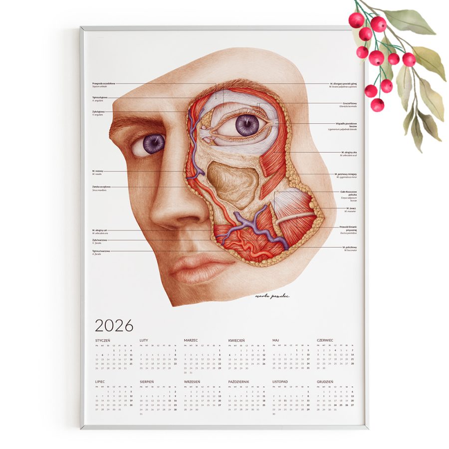 Kalendarz Anatomiczny 2026 - Jednostronny