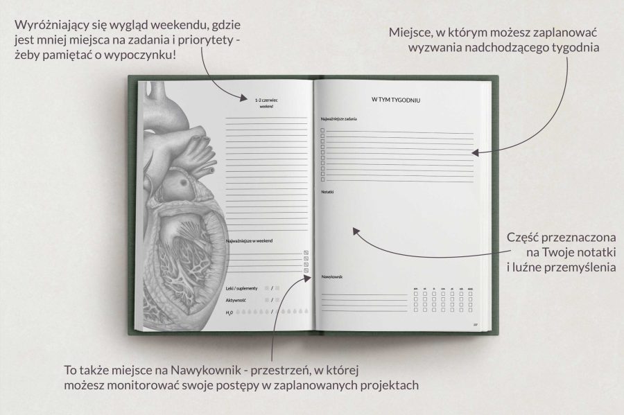 Planer Anatomiczny 2024 — zdjęcie 7
