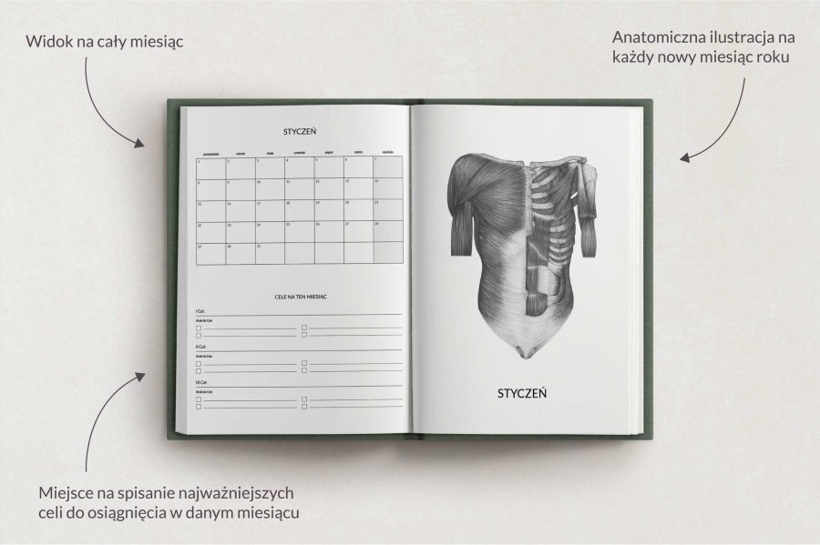 Planer Anatomiczny 2024 — zdjęcie 5