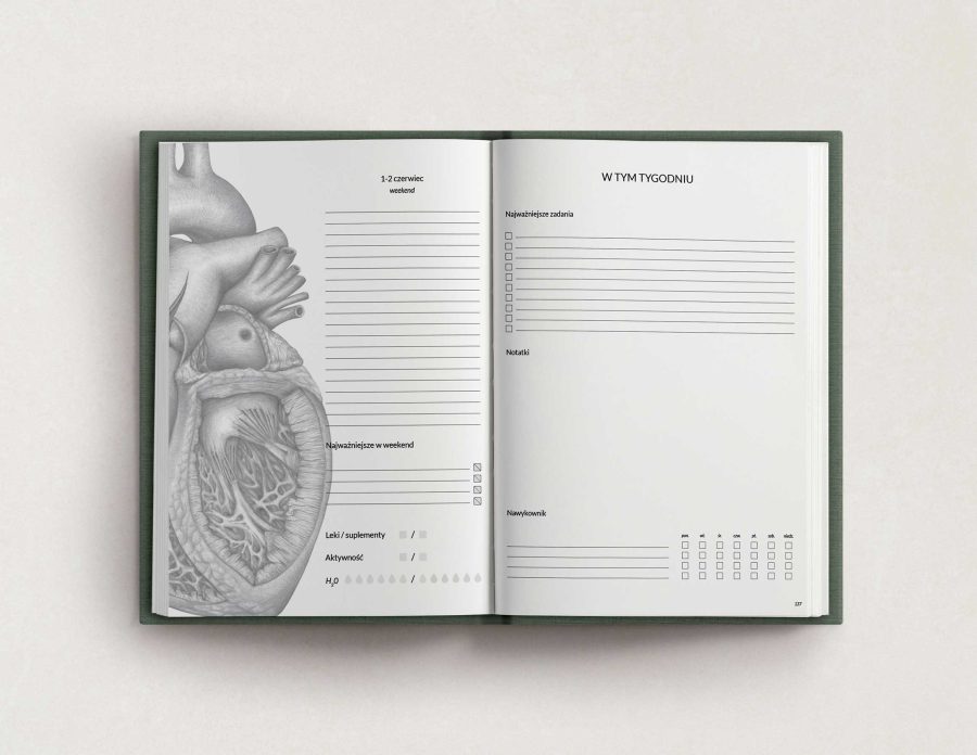 Kalendarz&Planer Anatomiczny 2024 — zdjęcie 7