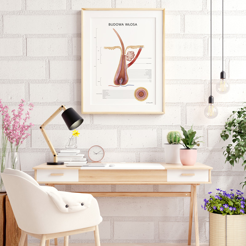 Plakat Anatomia Piękna Komplet — zdjęcie 7