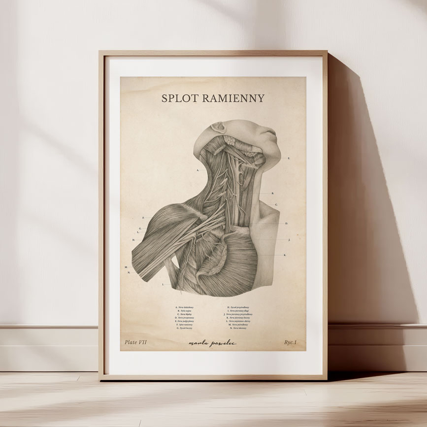 Komplet Ponadczasowy — zdjęcie 9