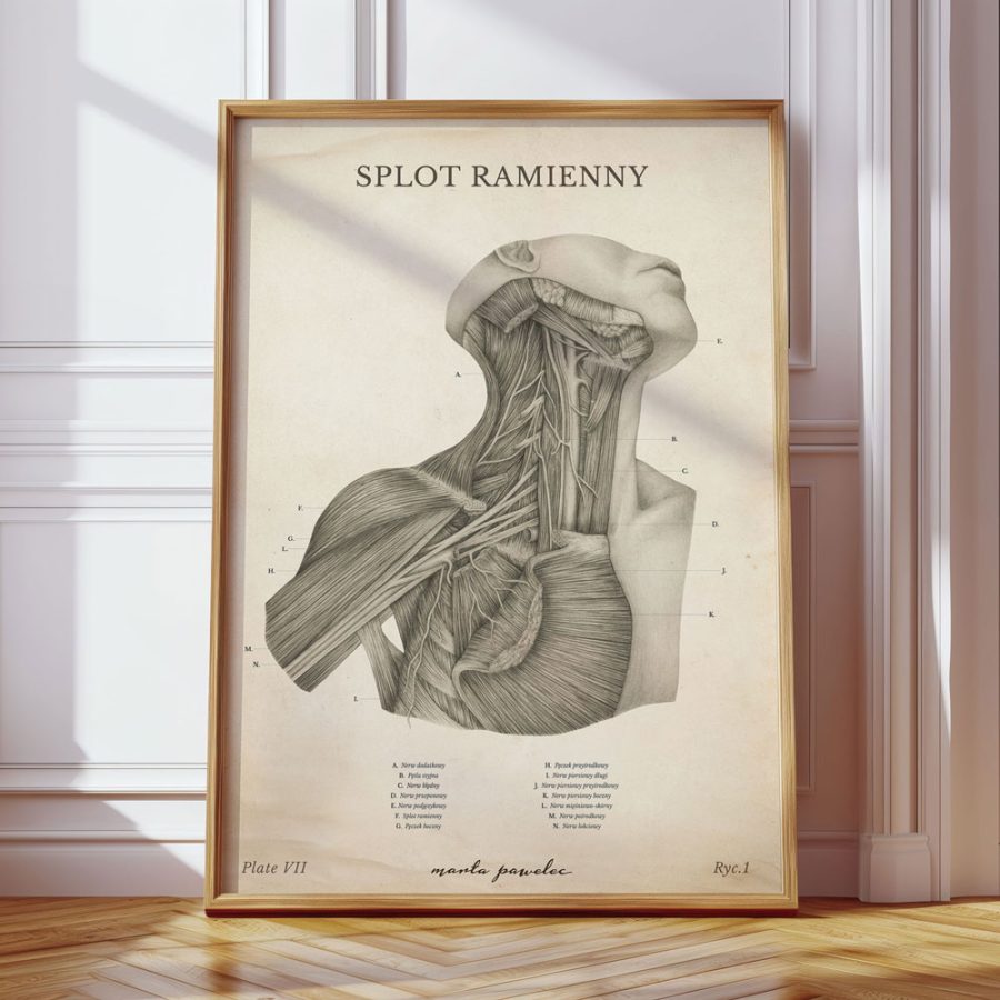 Komplet Ponadczasowy — zdjęcie 8
