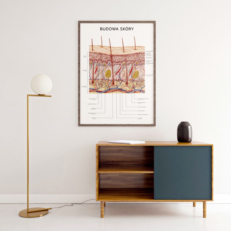 Plakat Anatomia Piękna Komplet — zdjęcie 10