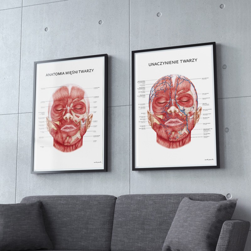 Plakat Anatomia Piękna Komplet — zdjęcie 6