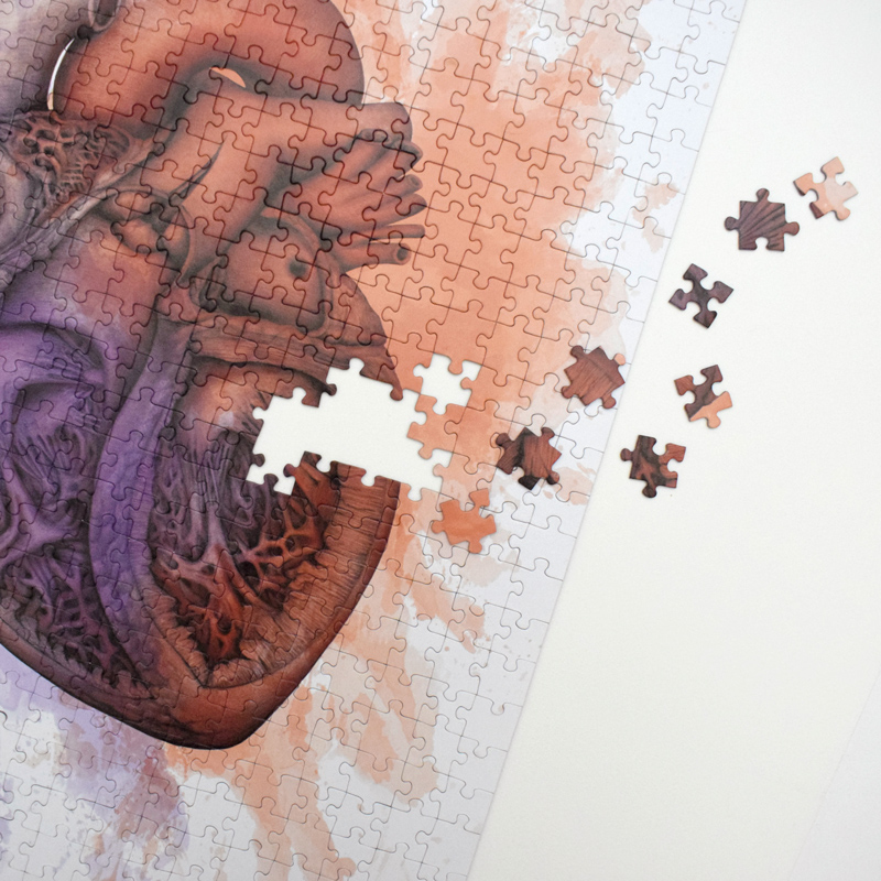 Puzzle Anatomiczne Serce — zdjęcie 4