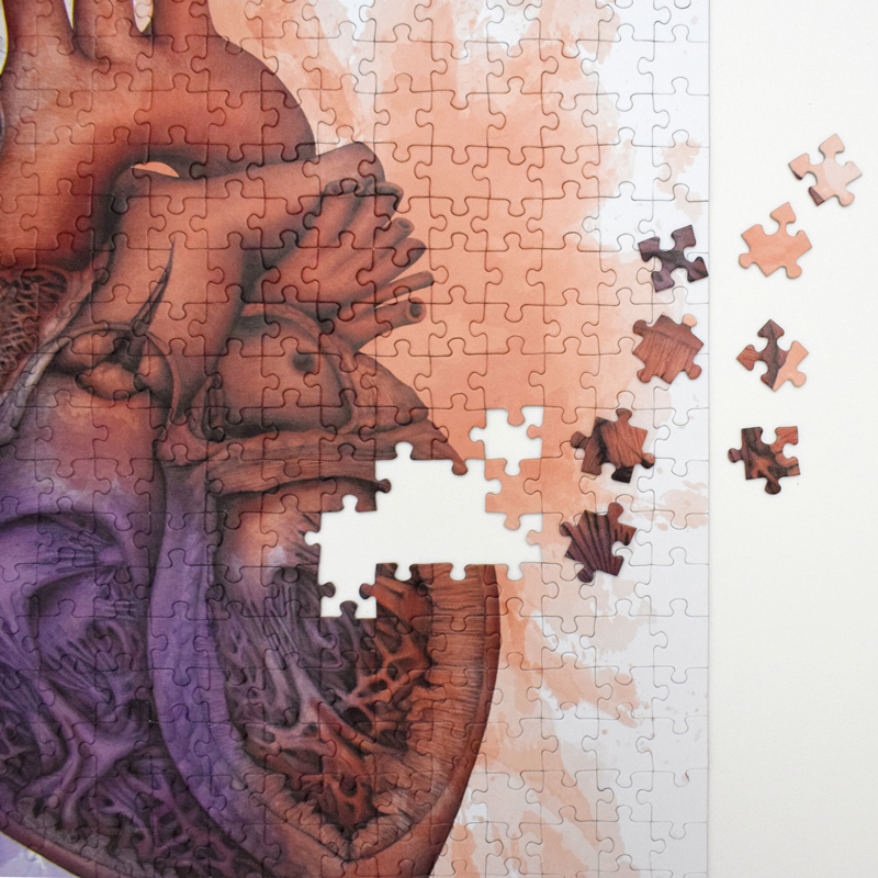 Puzzle Anatomiczne Serce — zdjęcie 5