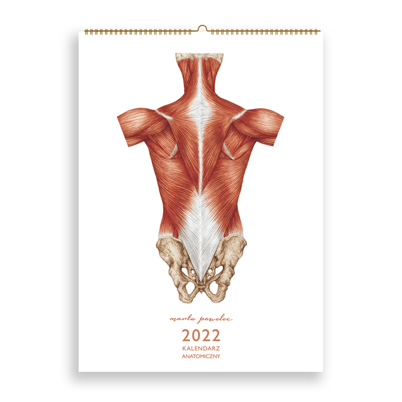 Kalendarz Anatomiczny 2022