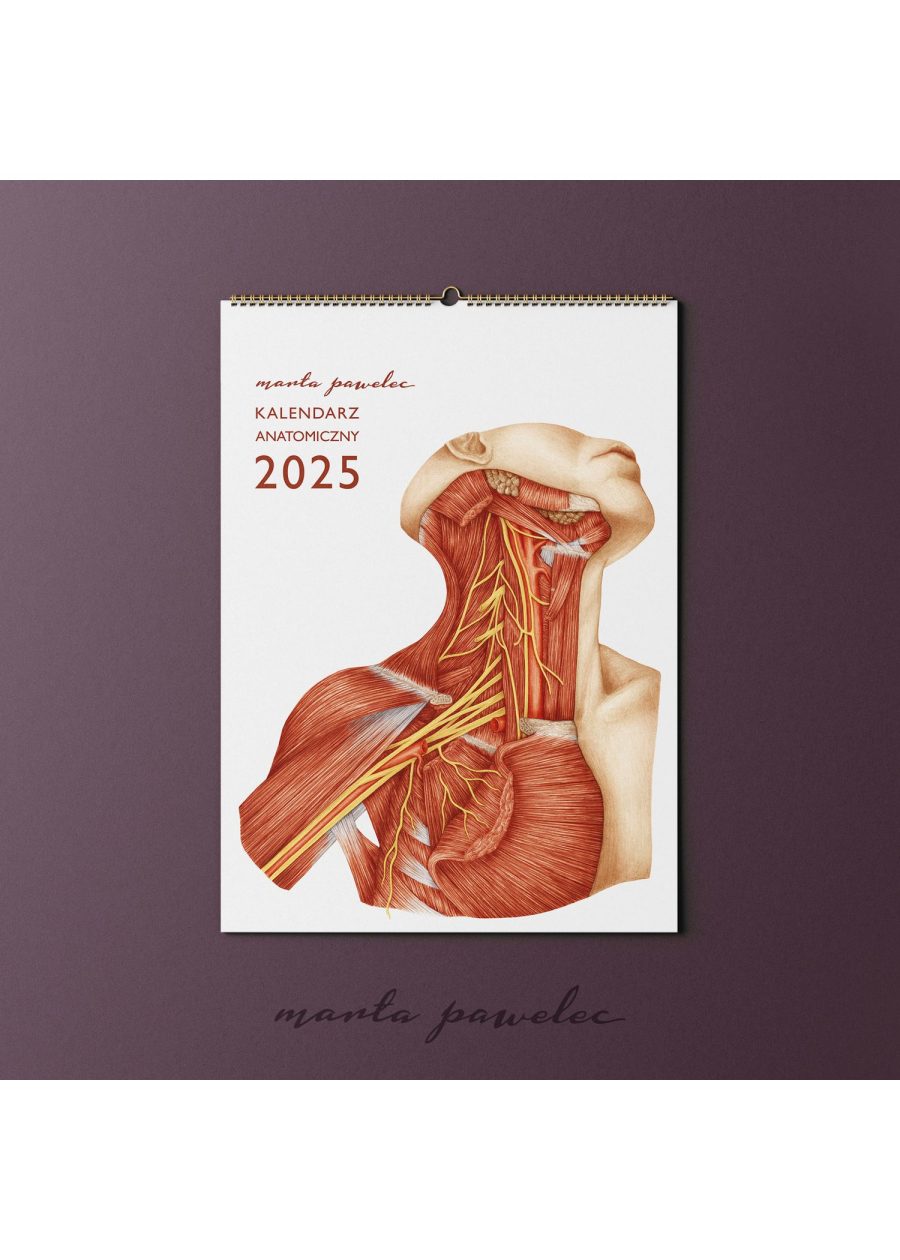 Kalendarz Anatomiczny 2025 — zdjęcie 2
