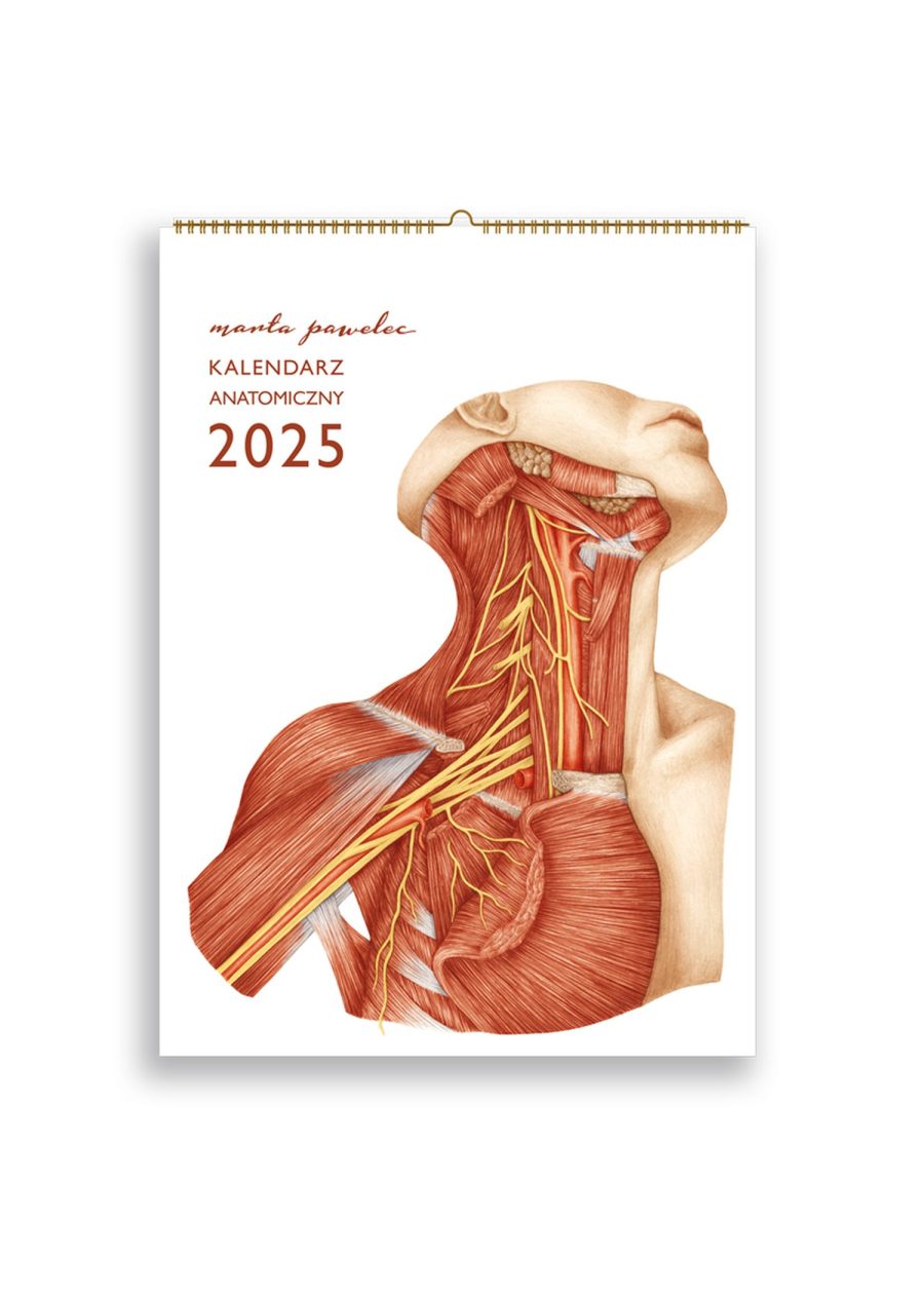 Kalendarz Anatomiczny 2025