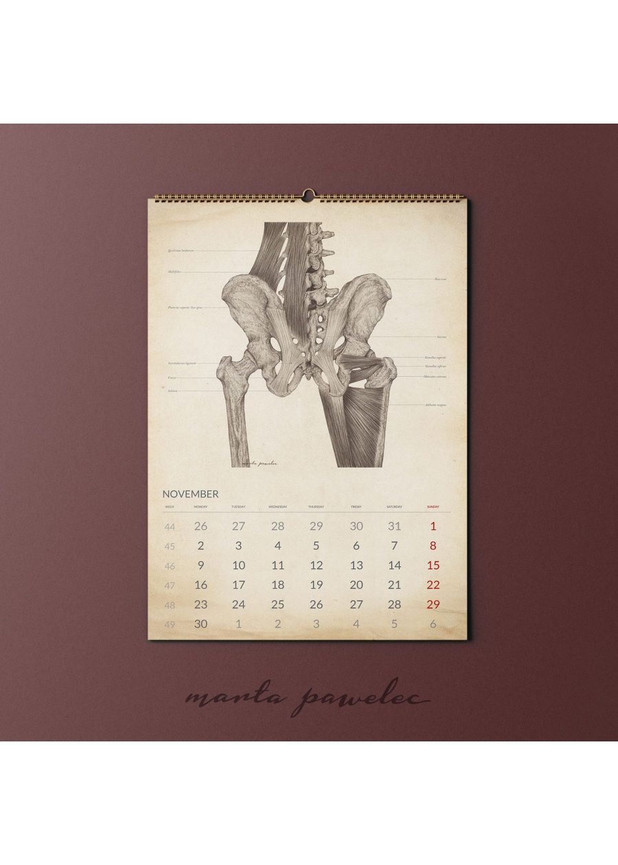 Kalendarz Anatomiczny 2026 Vintage — zdjęcie 13