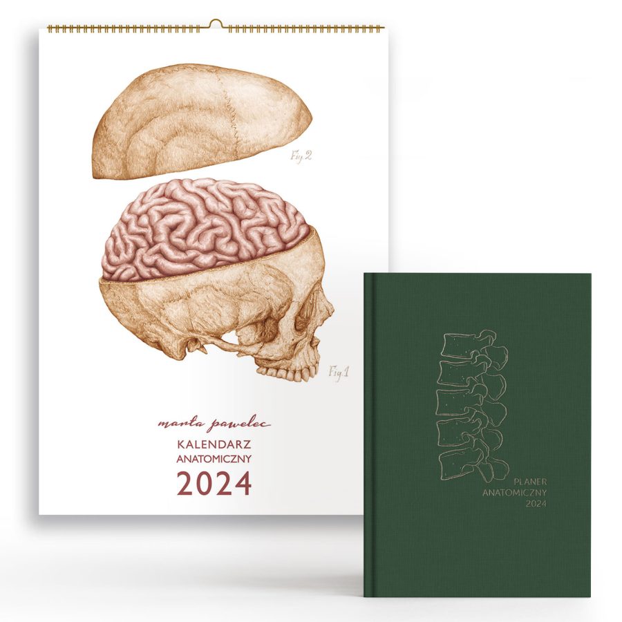 Kalendarz&Planer Anatomiczny 2024