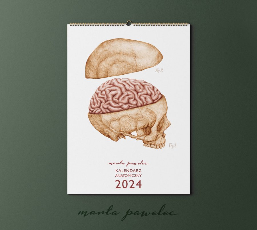 Kalendarz&Planer Anatomiczny 2024 — zdjęcie 2