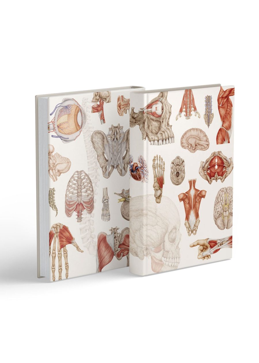 Notes Anatomiczny B5 — zdjęcie 5
