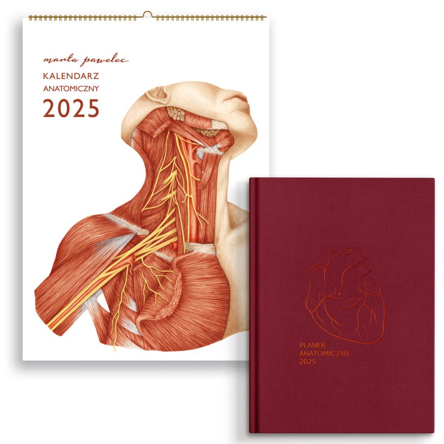 Kalendarz&Planer Anatomiczny 2025