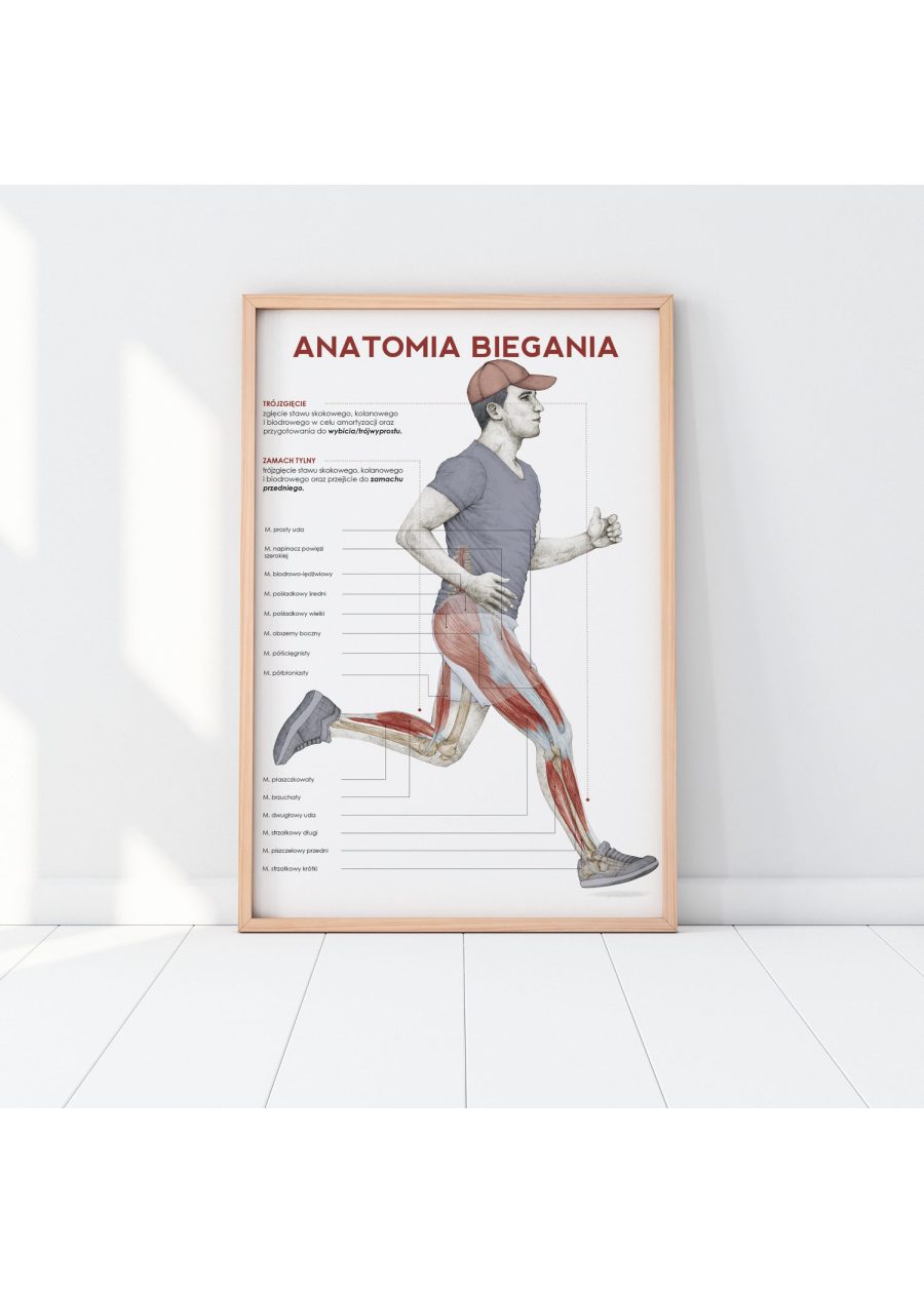 Plakat Anatomia Biegania — zdjęcie 2