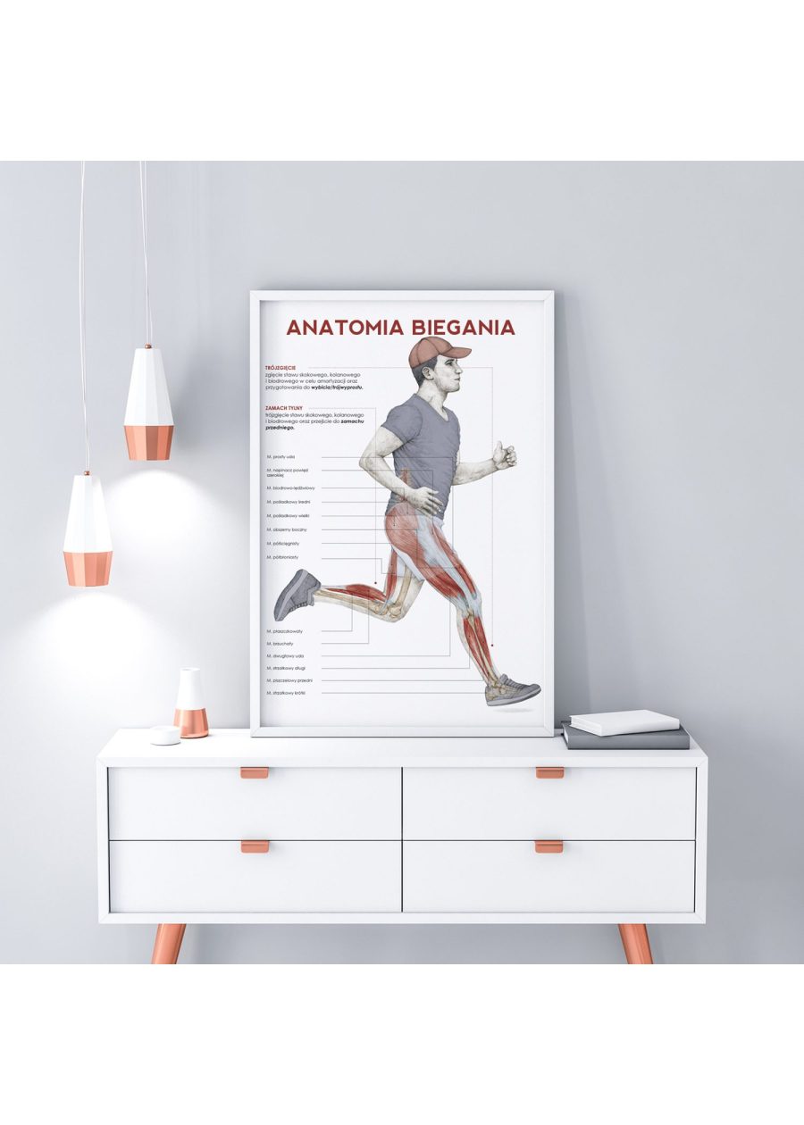 Plakat Anatomia Biegania — zdjęcie 3