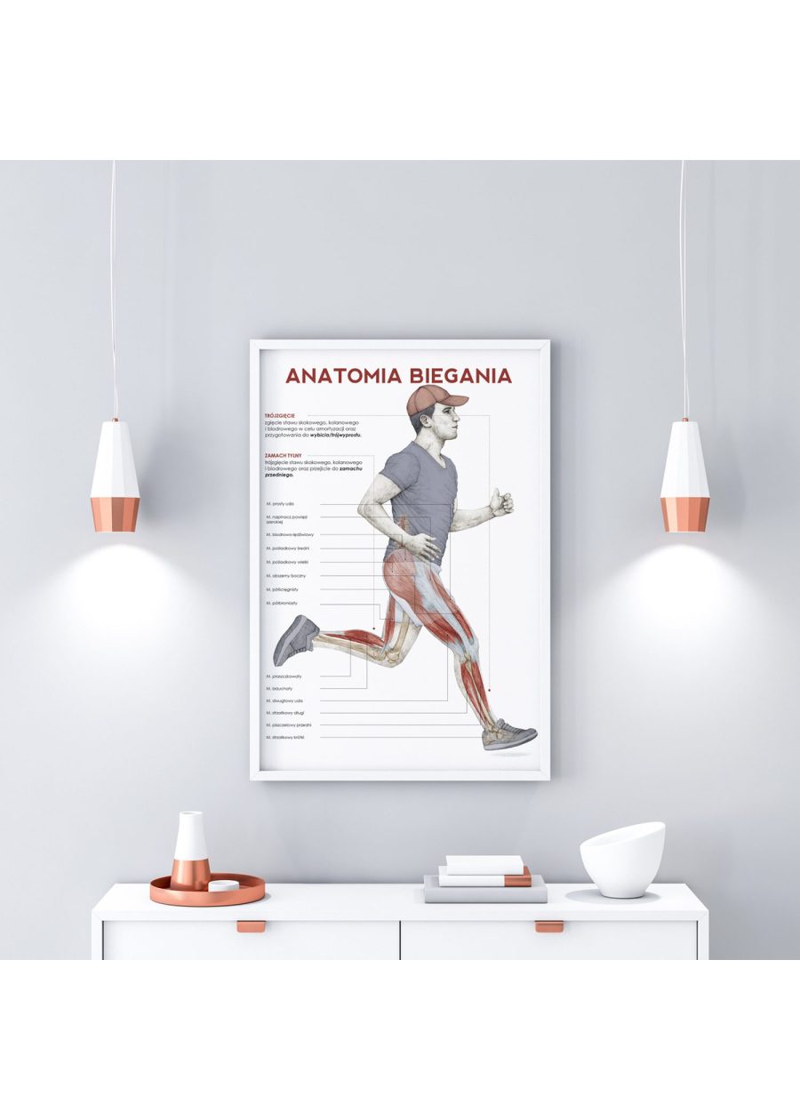 Plakat Anatomia Biegania — zdjęcie 4