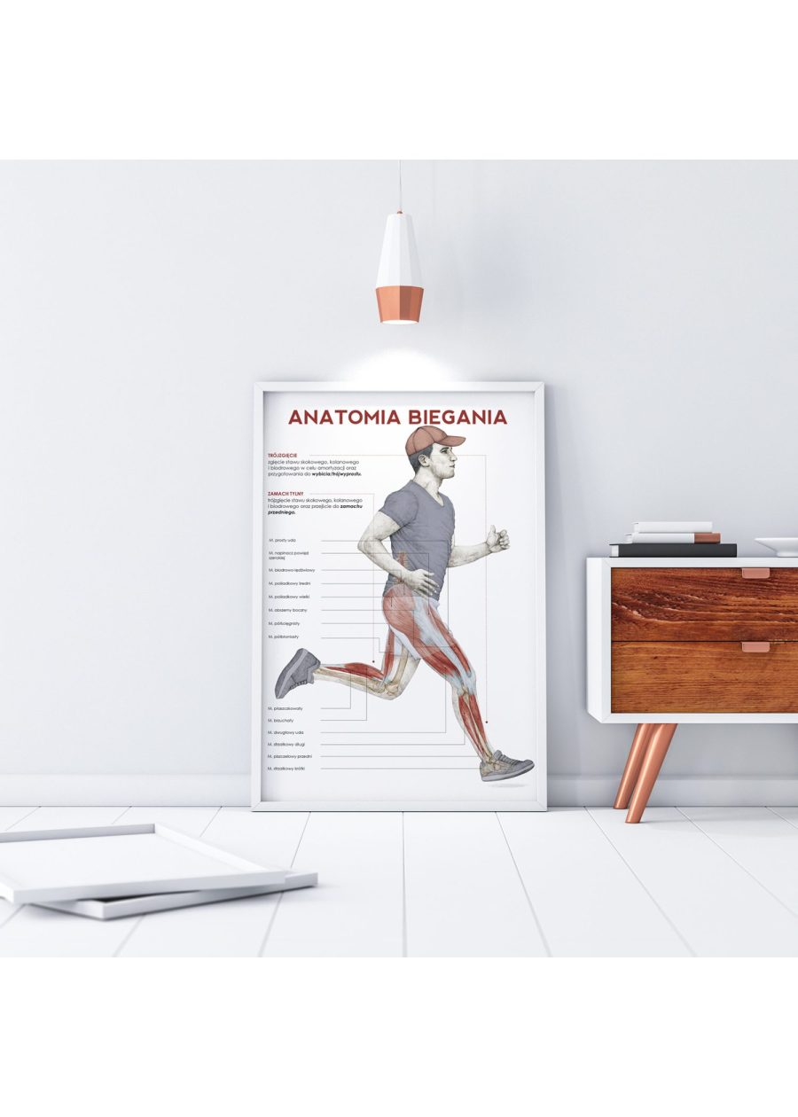 Plakat Anatomia Biegania — zdjęcie 5
