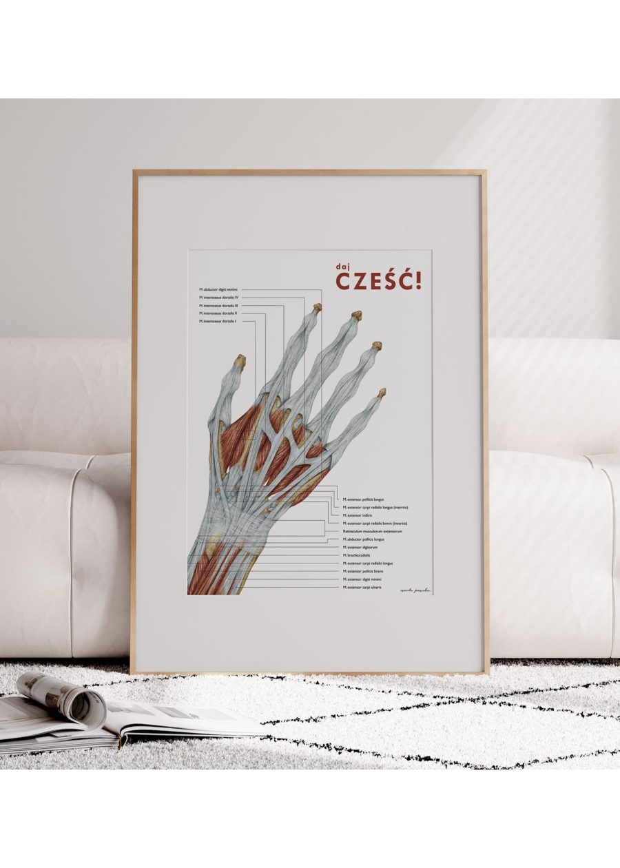 Plakat Anatomia Ręki - Daj Cześć — zdjęcie 2