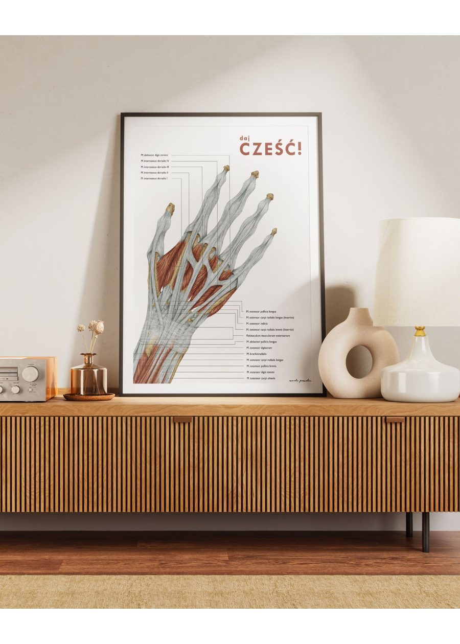 Plakat Anatomia Ręki - Daj Cześć — zdjęcie 3