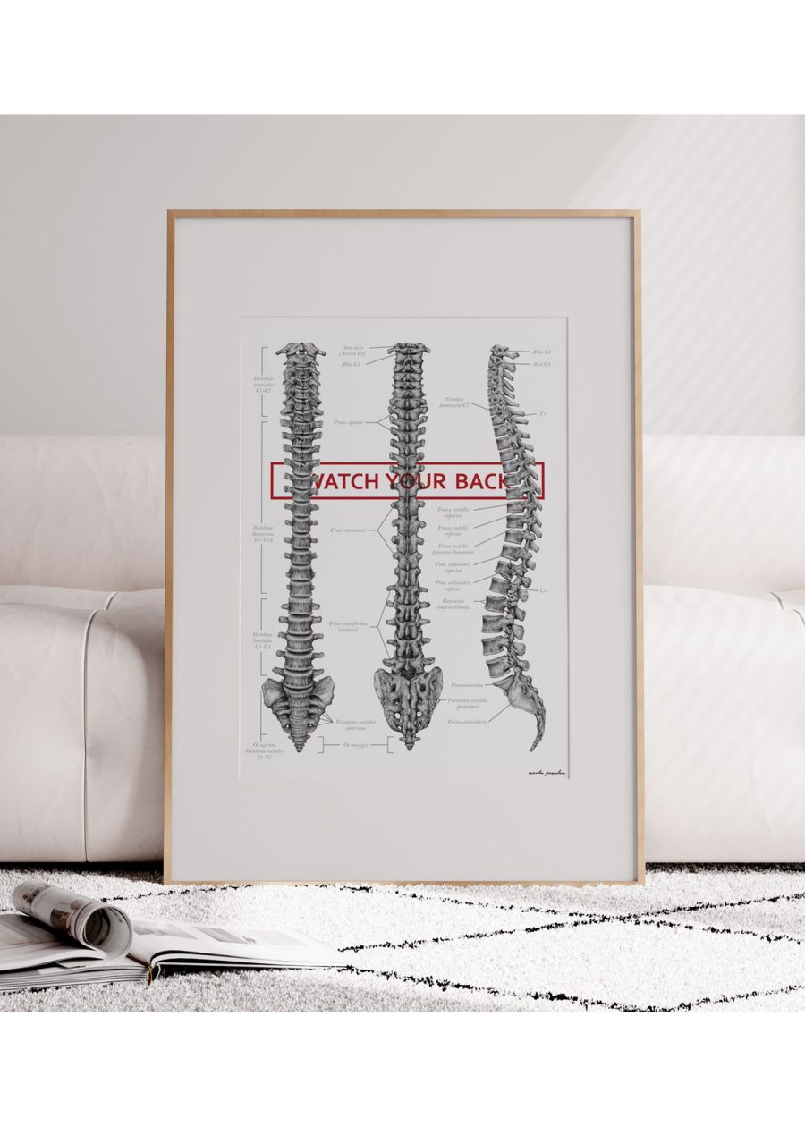Plakat Budowa Kręgosłupa - Watch Your Back — zdjęcie 2