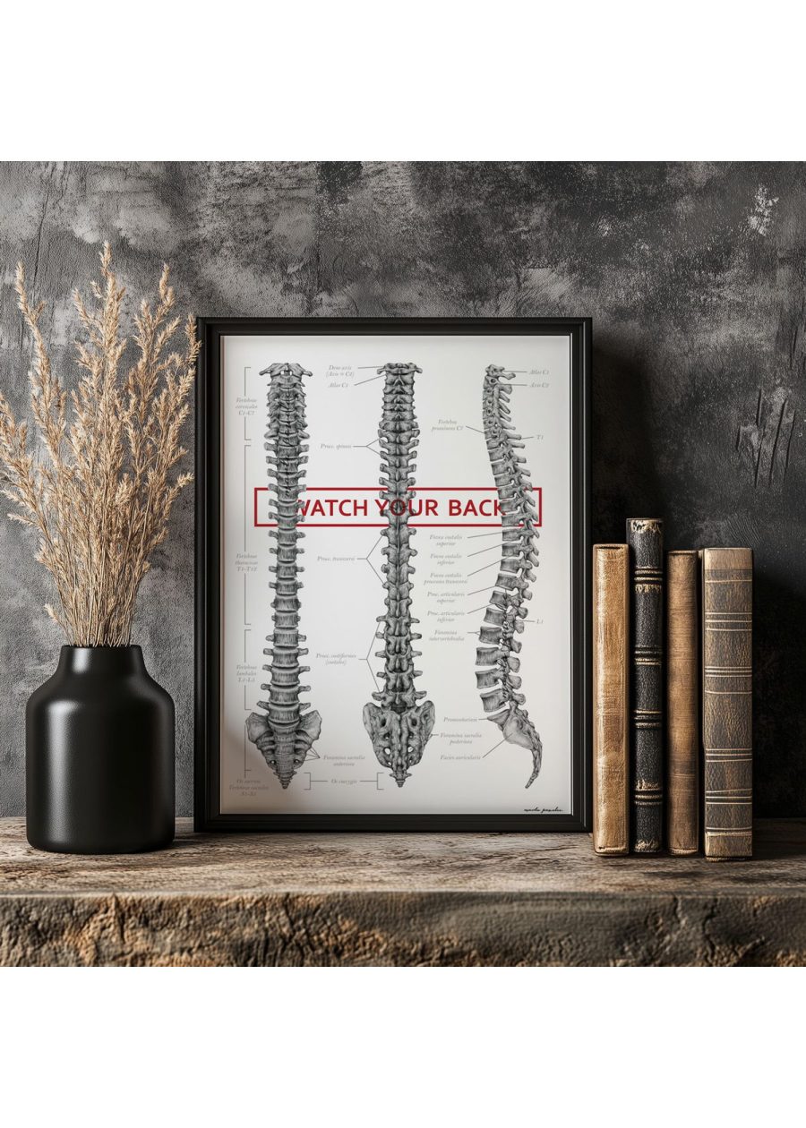 Plakat Budowa Kręgosłupa - Watch Your Back — zdjęcie 3