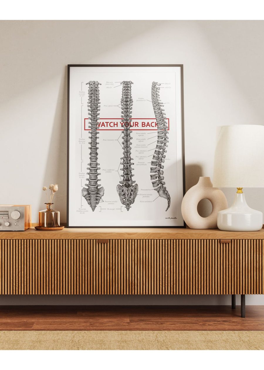 Plakat Budowa Kręgosłupa - Watch Your Back — zdjęcie 5