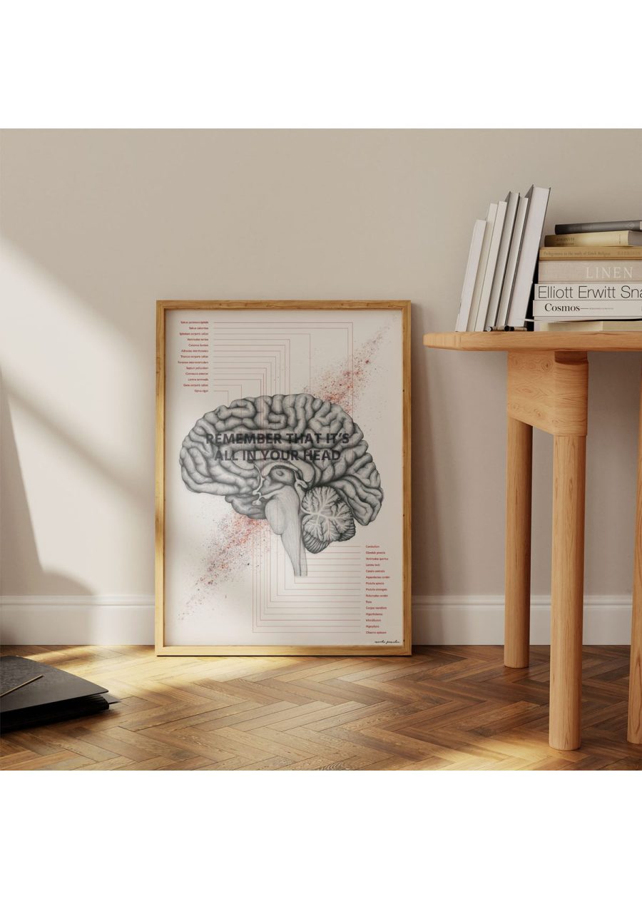 Plakat Budowa Mózgu - In Your Head — zdjęcie 2