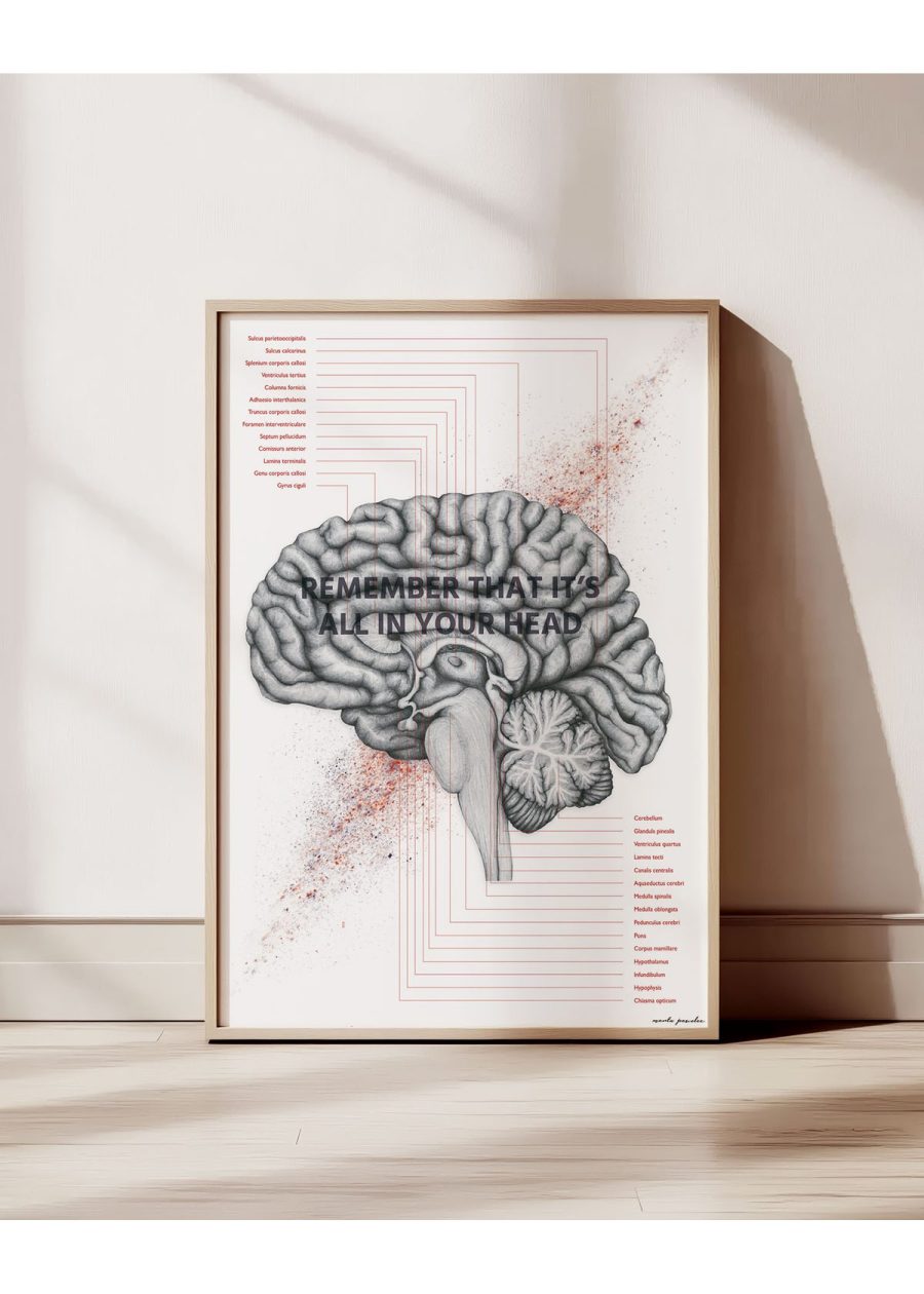 Plakat Budowa Mózgu - In Your Head — zdjęcie 3