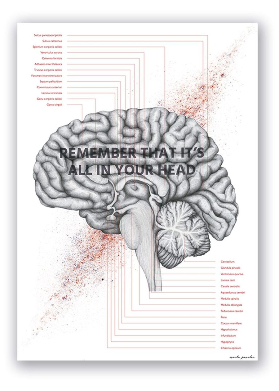 Plakat Budowa Mózgu - In Your Head