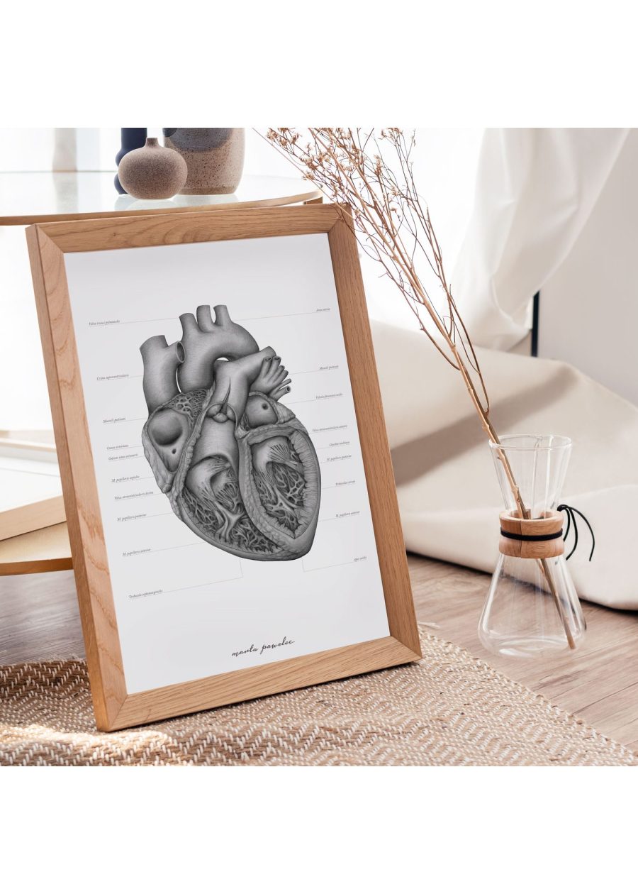 Plakat Budowa Serca A3 — zdjęcie 2