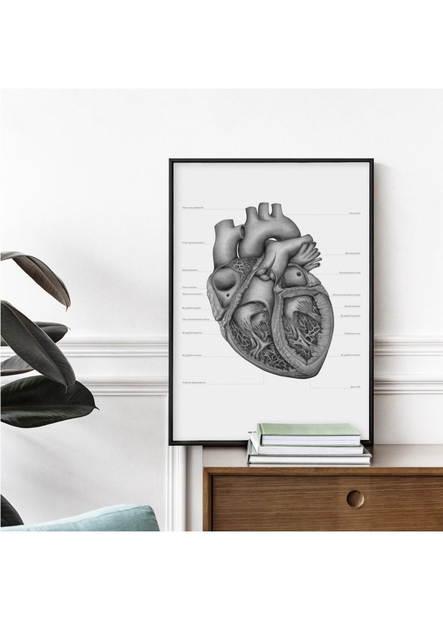 Plakat Budowa Serca A3 — zdjęcie 3