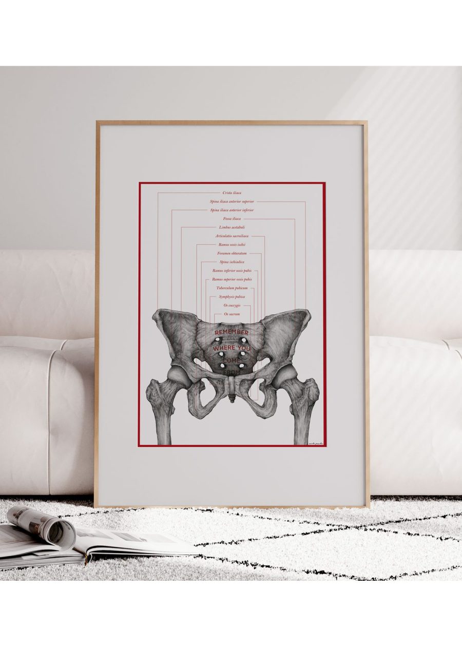 Plakat Kości Miednicy - Remember — zdjęcie 3