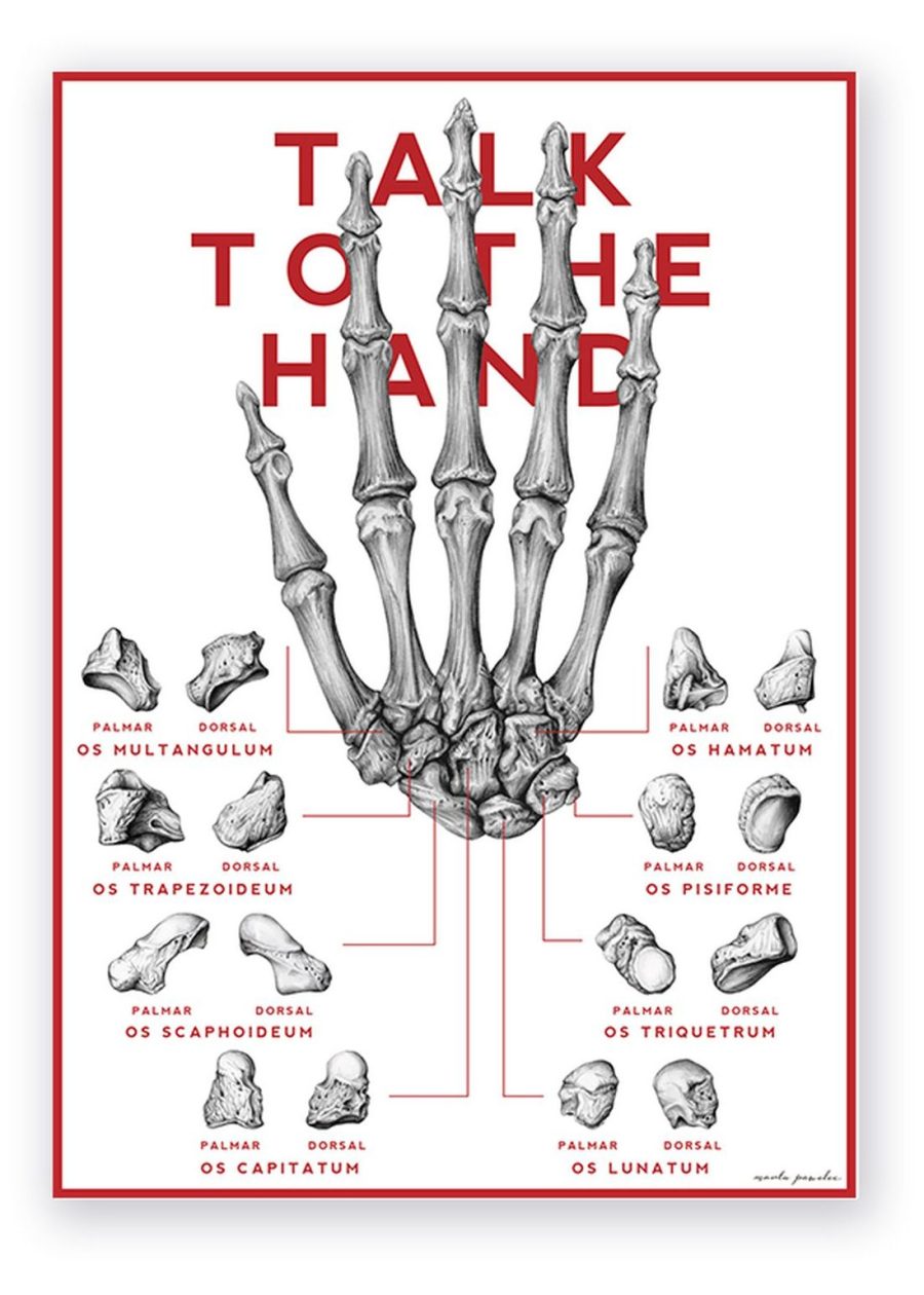 Plakat Kości Ręki - Talk To The Hand