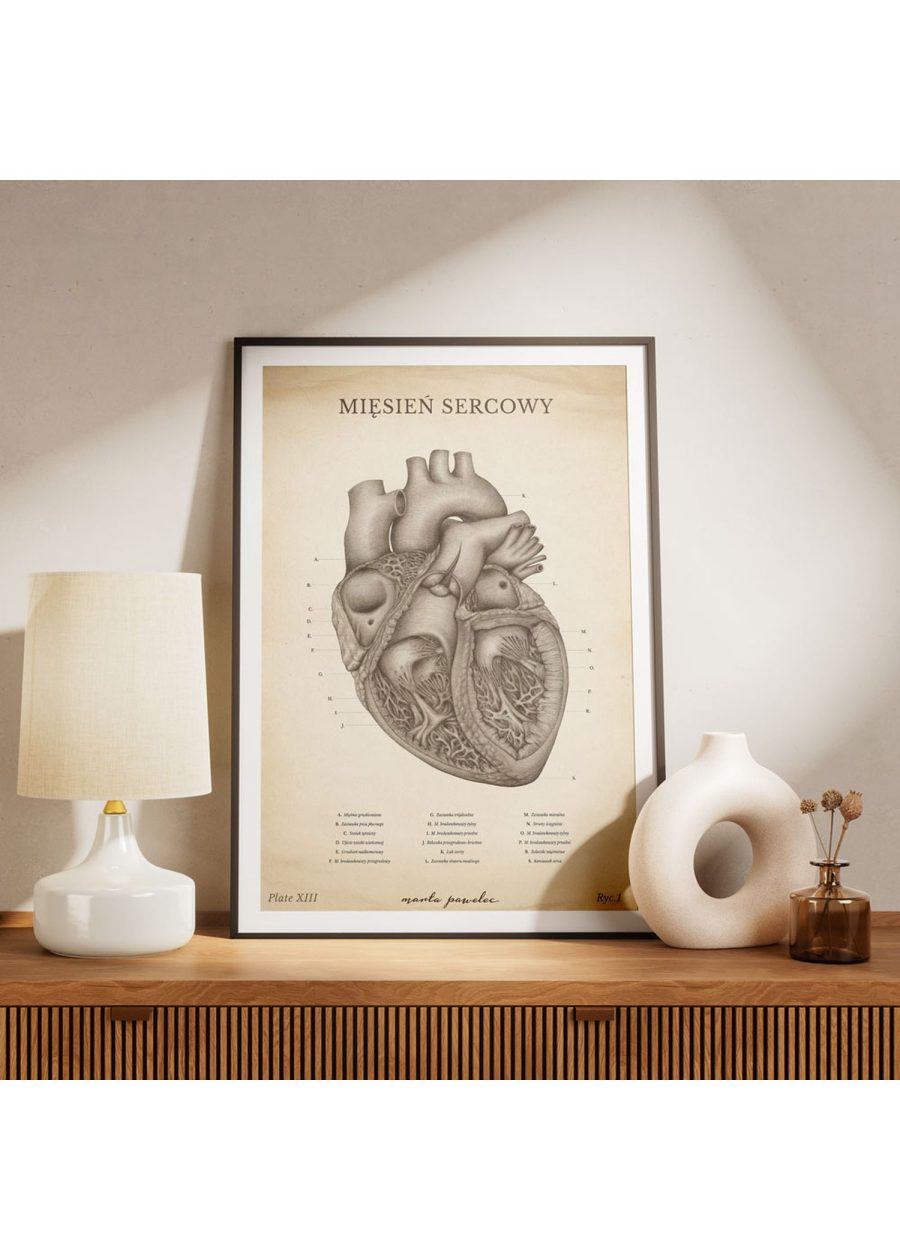 Plakat Mięsień Sercowy Vintage — zdjęcie 5