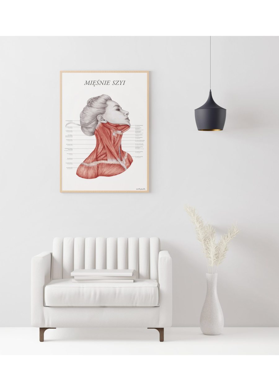 Plakat Mięśnie Szyi — zdjęcie 4