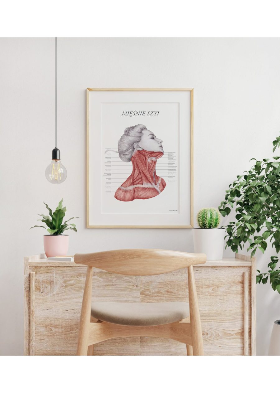Plakat Mięśnie Szyi — zdjęcie 5
