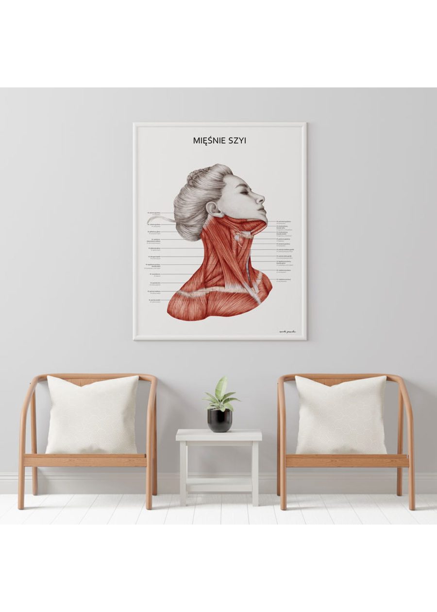 Plakat Mięśnie Szyi — zdjęcie 7