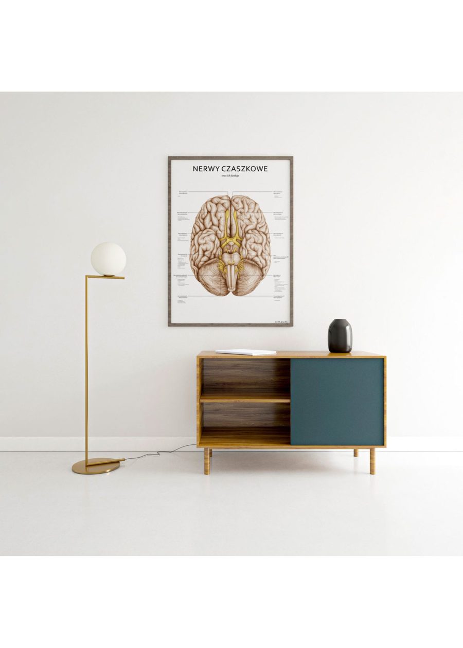 Plakat Nerwy Czaszkowe — zdjęcie 4