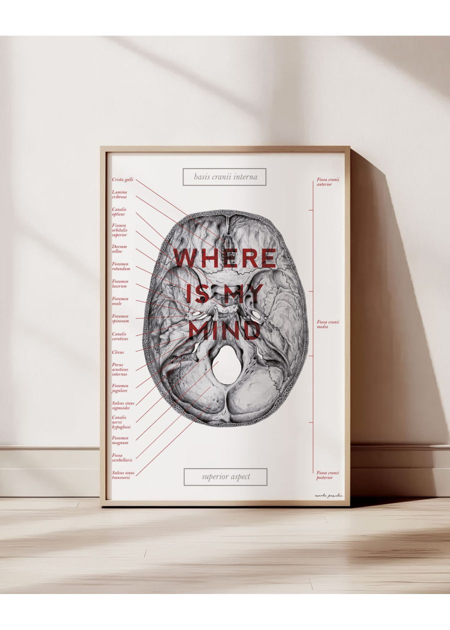 Plakat Podstawa Czaszki - Where Is My Mind — zdjęcie 2