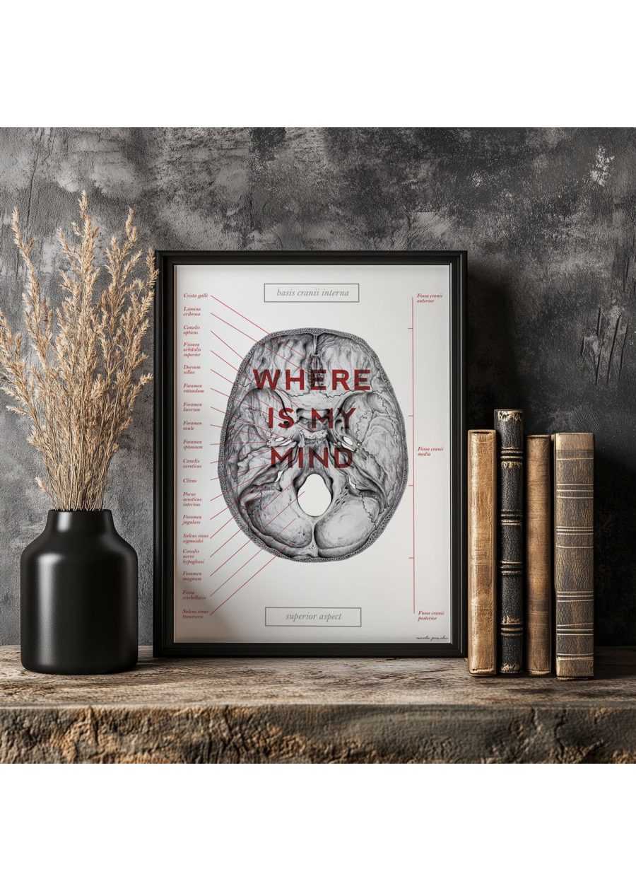 Plakat Podstawa Czaszki - Where Is My Mind — zdjęcie 5