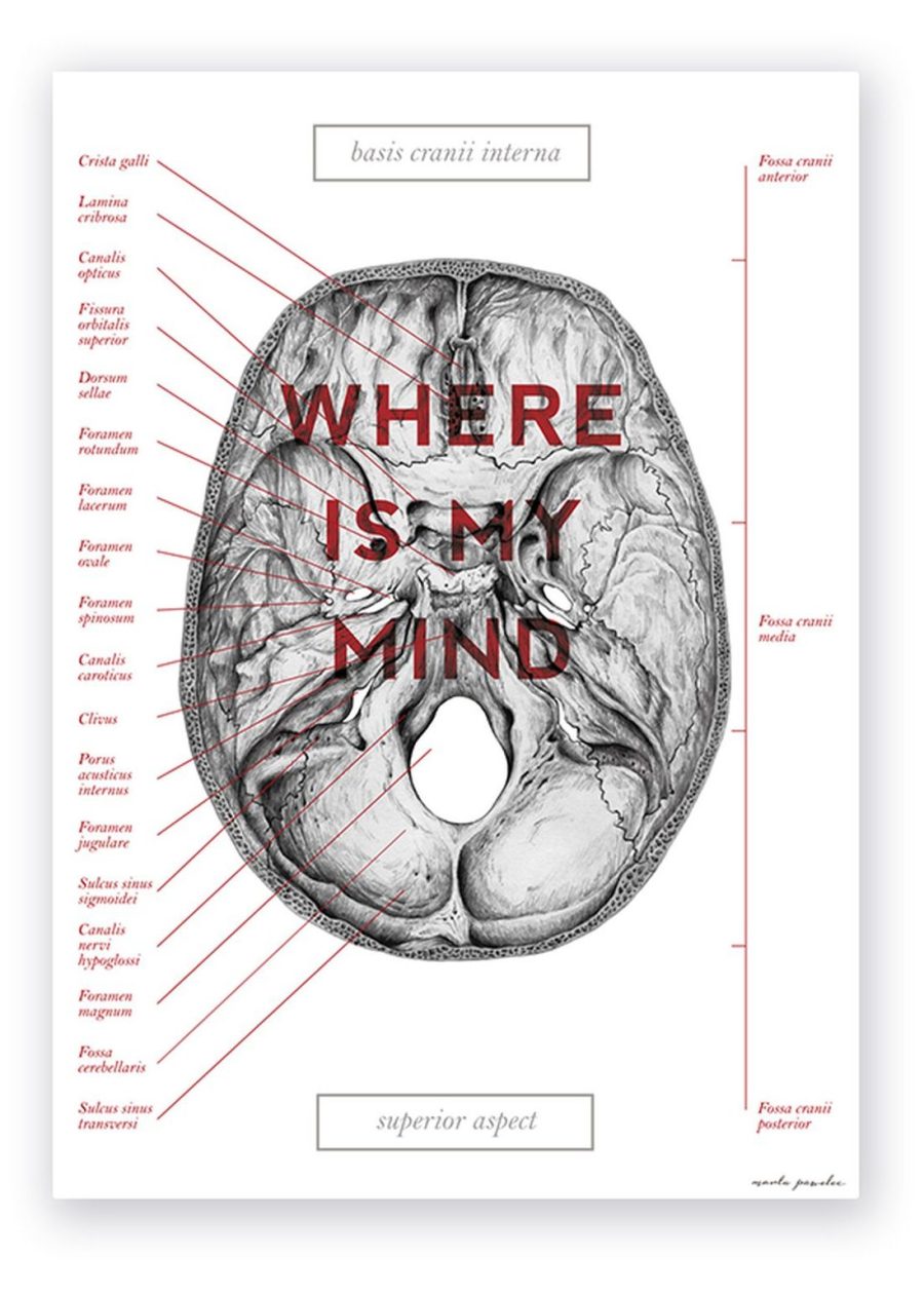 Plakat Podstawa Czaszki - Where Is My Mind