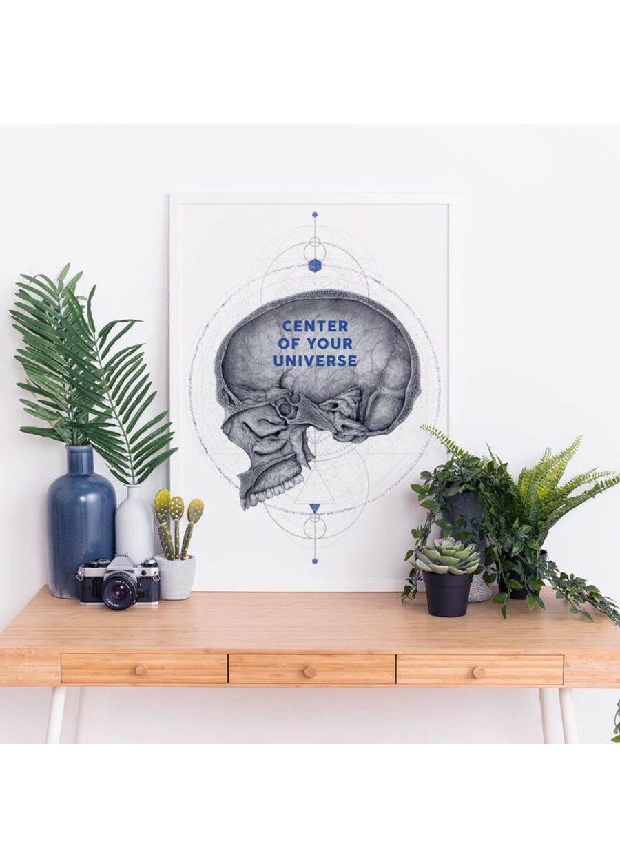 Plakat Przekrój Czaszki - Universe — zdjęcie 4